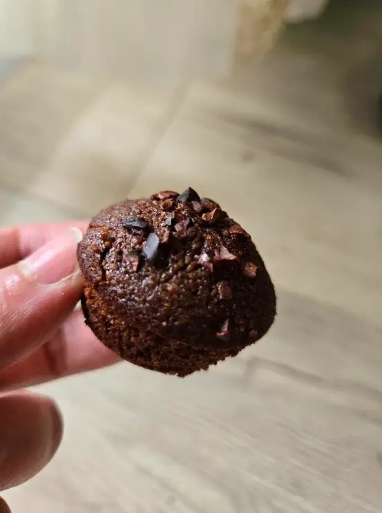 Moelleux au chocolat reduit en sucre.webp